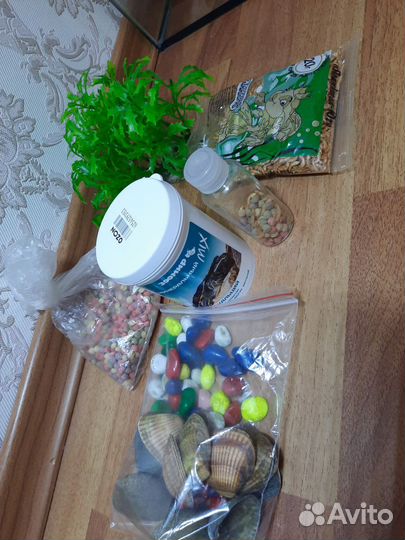 Аквариум для красноухой черепахи