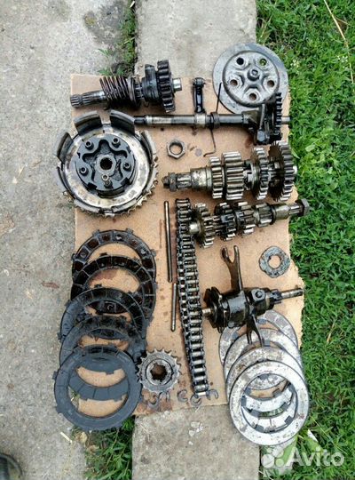 Муравей м-б2м