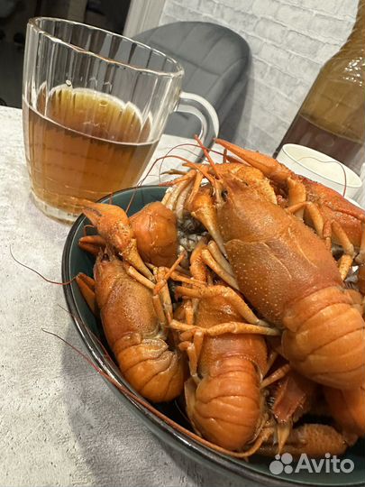 Живые раки