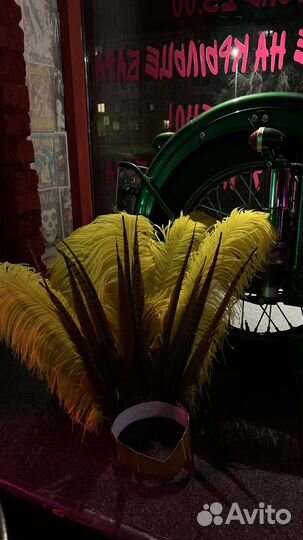 Головной убор с перьями, корона