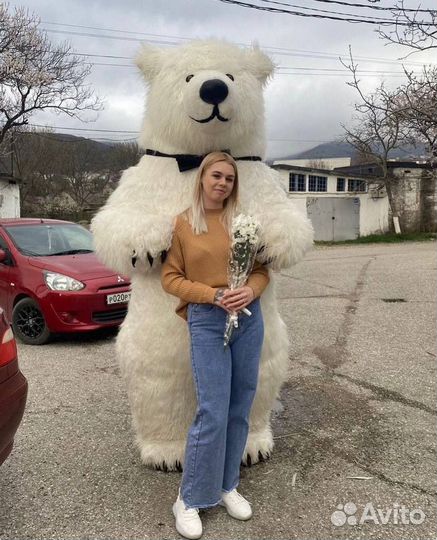 Аниматор мишка