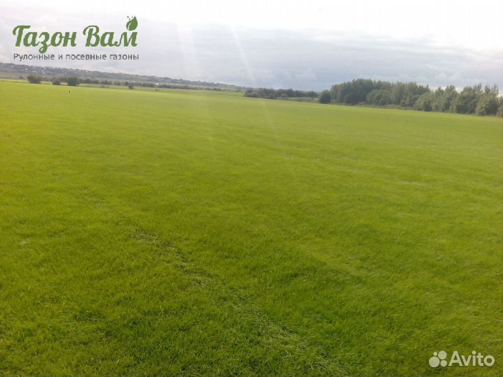 Газон укладка