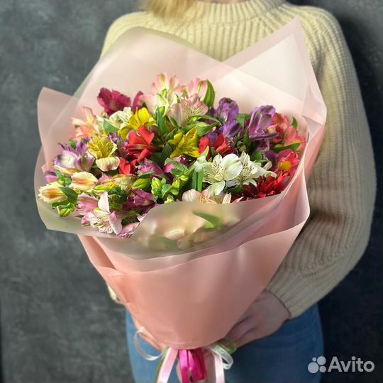 Альстромерии Альстромерия