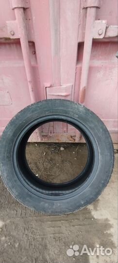 Nokian Tyres Nordman SX2 205/55 R16 91H