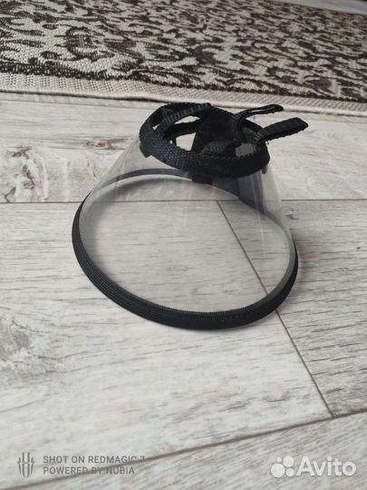 Ошейник после операционный