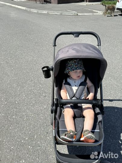 Коляска прогулочная rant flex pro