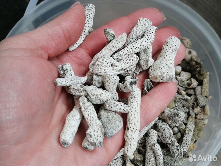 Фильтр для аквариума, аквариум, оборудование