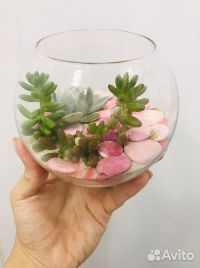Подарок флорариум