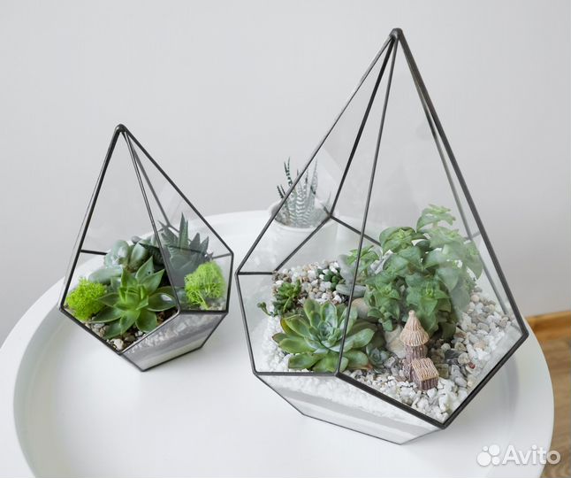 Флорариум капля