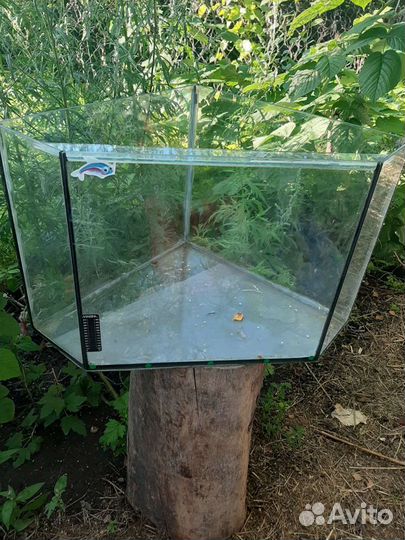 Аквариумы с пидсветкой и без и др