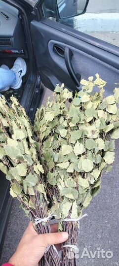 Берёзовые веники для бани