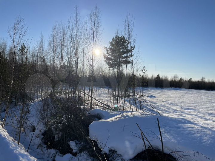 Участок 10 сот. (СНТ, ДНП)