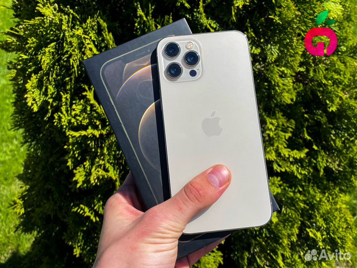 iPhone 12 Pro Max, 256 ГБ