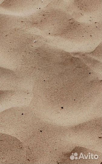 Песок с карьера тараканом