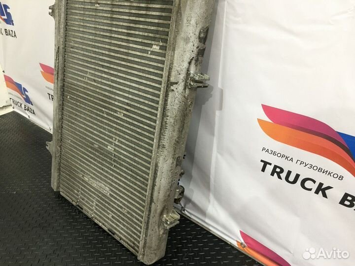 Интеркулер Daf XF105