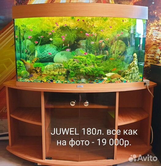 Аквариум с тумбой