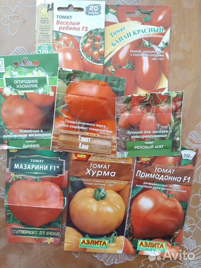 Рассада томатов