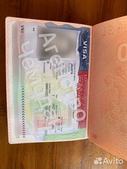 Виза в США (Бот входит в стоимость)