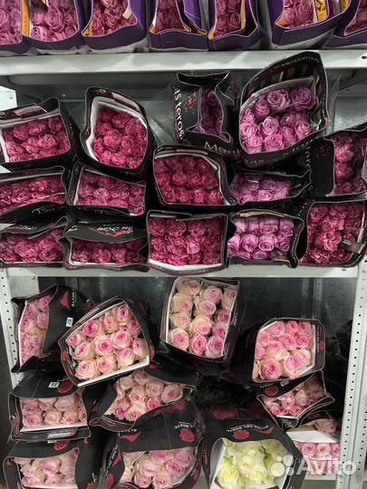 Цветы Букеты Розы от 15 шт 101 51 25 роз Доставка