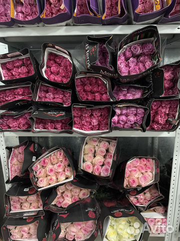 Цветы Букеты Розы от 15 шт 101 51 25 роз Доставка