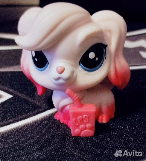 Littlest pet shop