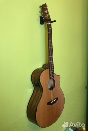Breedlove Pursuit Concert