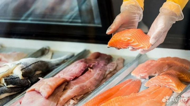 Продается готовый бизнес: рыбный магазин