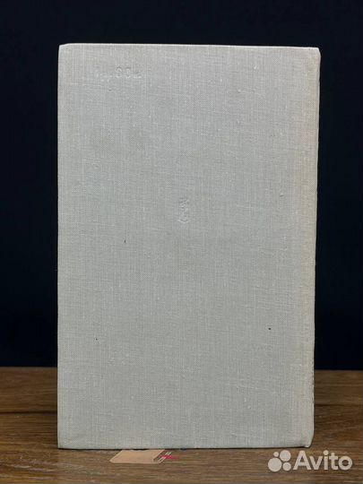 Дмитрий Донской