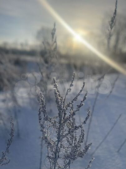 Дом 90 м² на участке 5 сот.