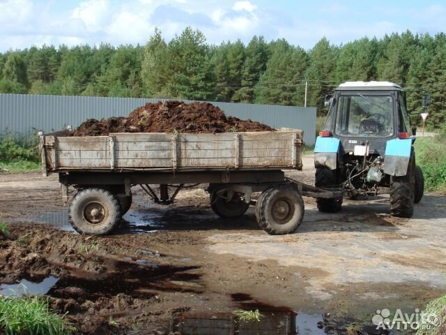 Продам навоз