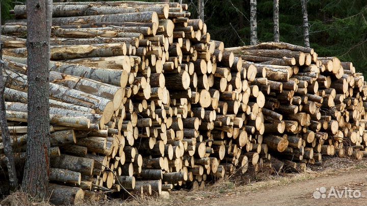 Дрова колотые хвойные
