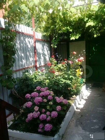 Комната 15 м² в 3-к., 2/2 эт.