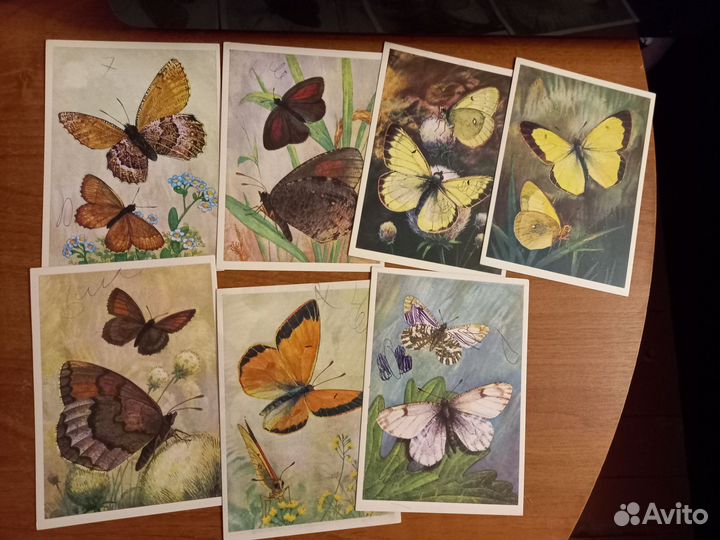 Набор открыток ссср