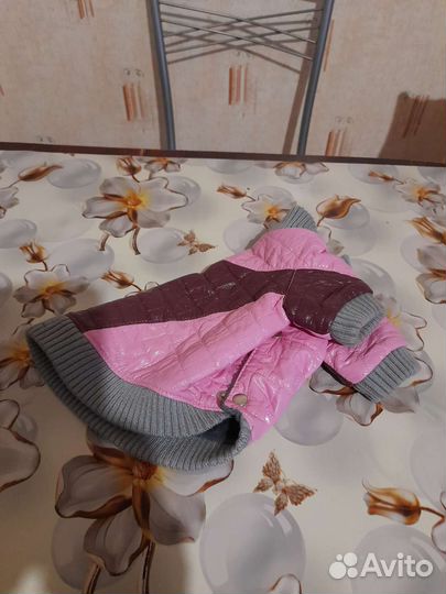 Одежда для собак