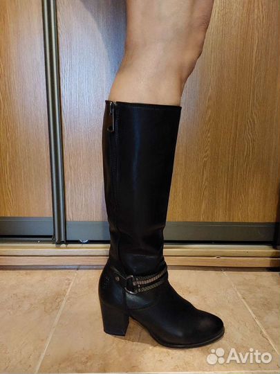 Женские сапоги осень