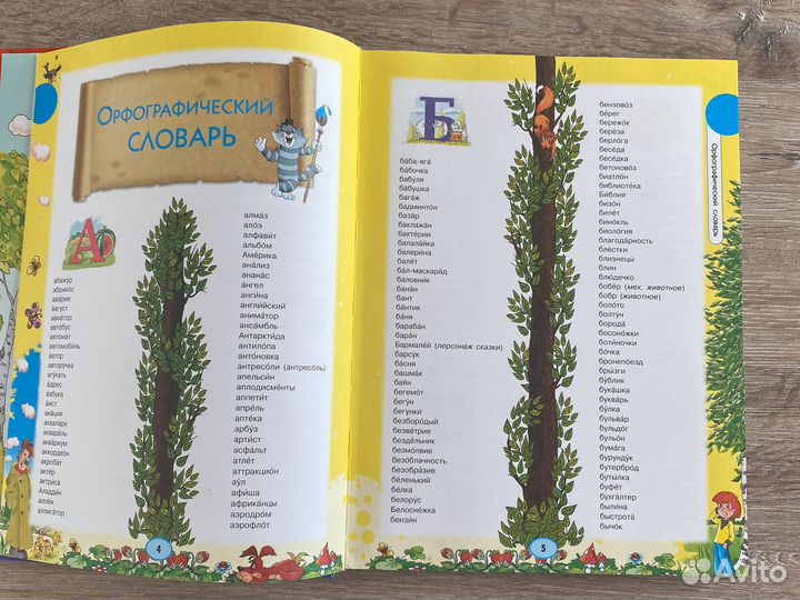 Словарь иллюстрированный