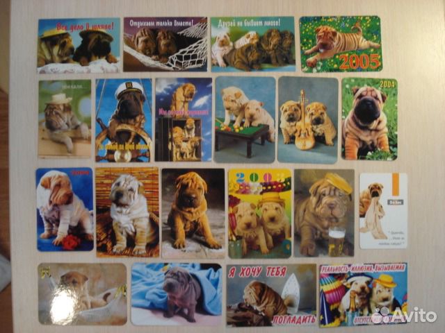 Коллекция календарей порода Шарпей щенок питомник