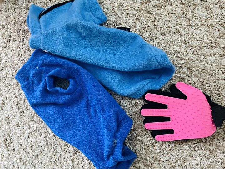 Одежда для собак набор