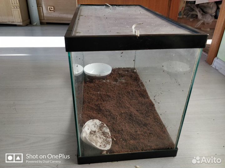 Аквариум (стекло)