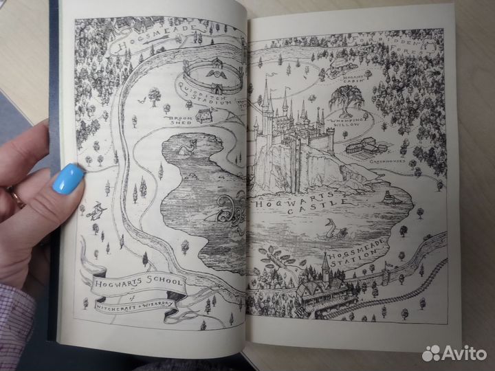 Harry Potter and the philosopher s stone