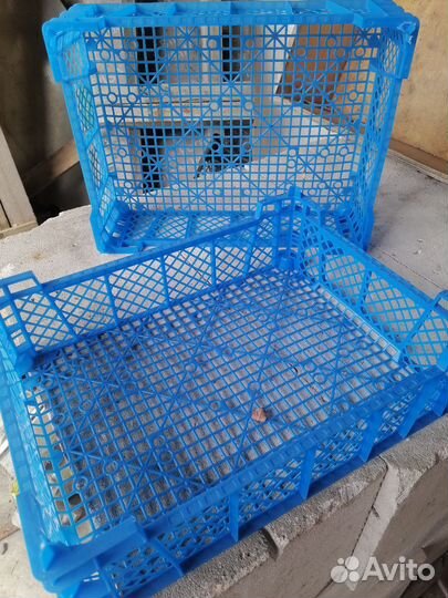 Пластиковые ящики для хранения овощей