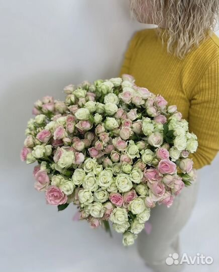 Букет из 51 кустовой розы (цвета на выбор)