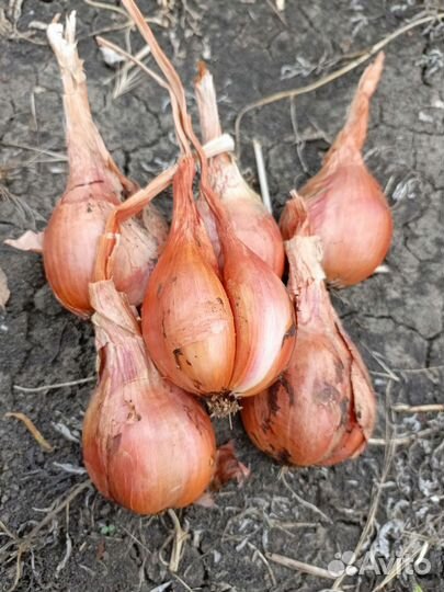 Фермерские продукты с доставкой