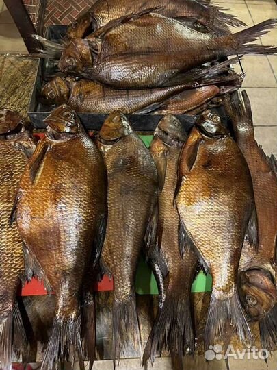 Рыба с реки Унжа