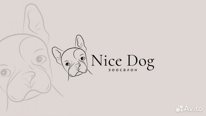 Разработка логотипа