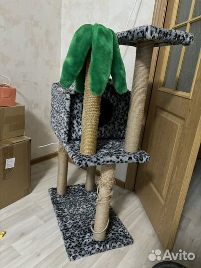 Когтеточка