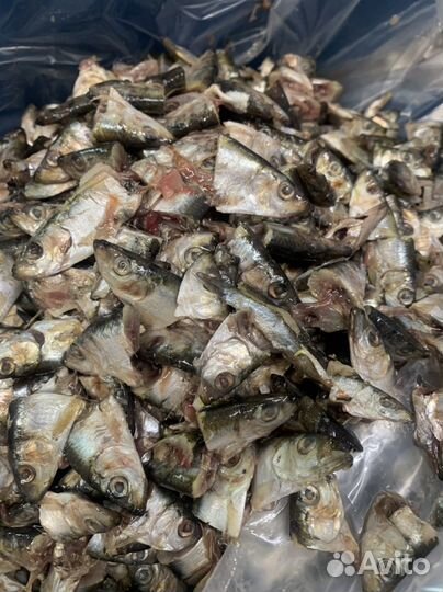 Рыбные отходы