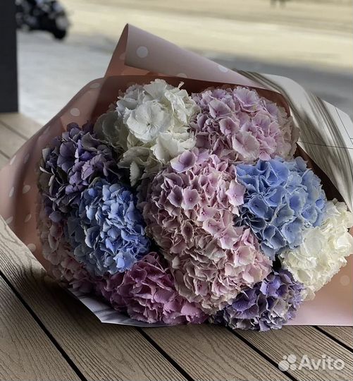 Гортензия микс