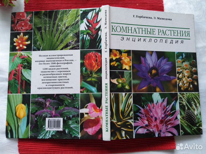 Энциклопедия Комнатные растения