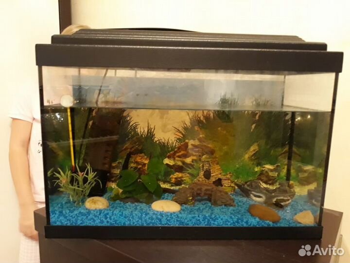 Аквариум для рыбок со всем необходимым